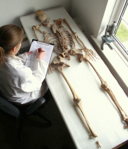 Analysis of skeleton